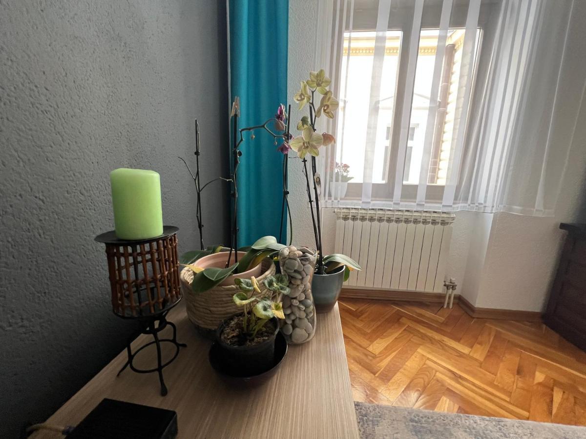 Djana Apartment SJJ Extérieur photo